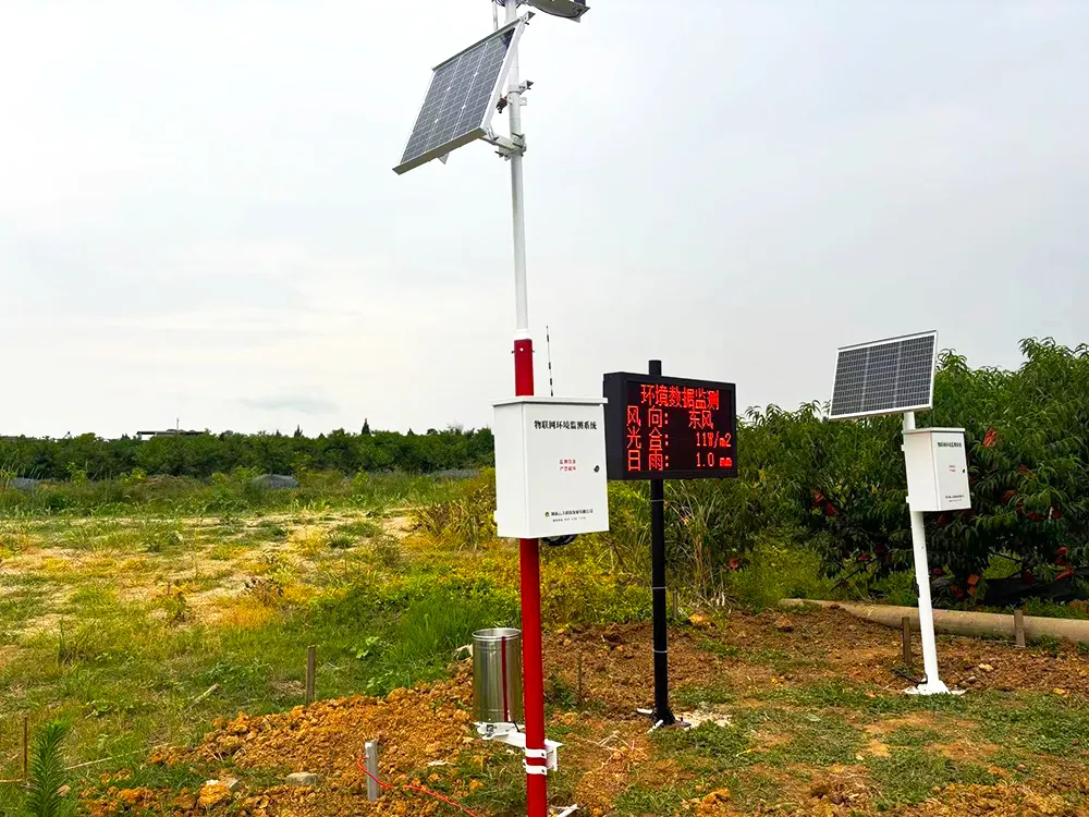 ���w���o(h��)&ldquo;�S���&rdquo; �ǻ�ֲ����Т��